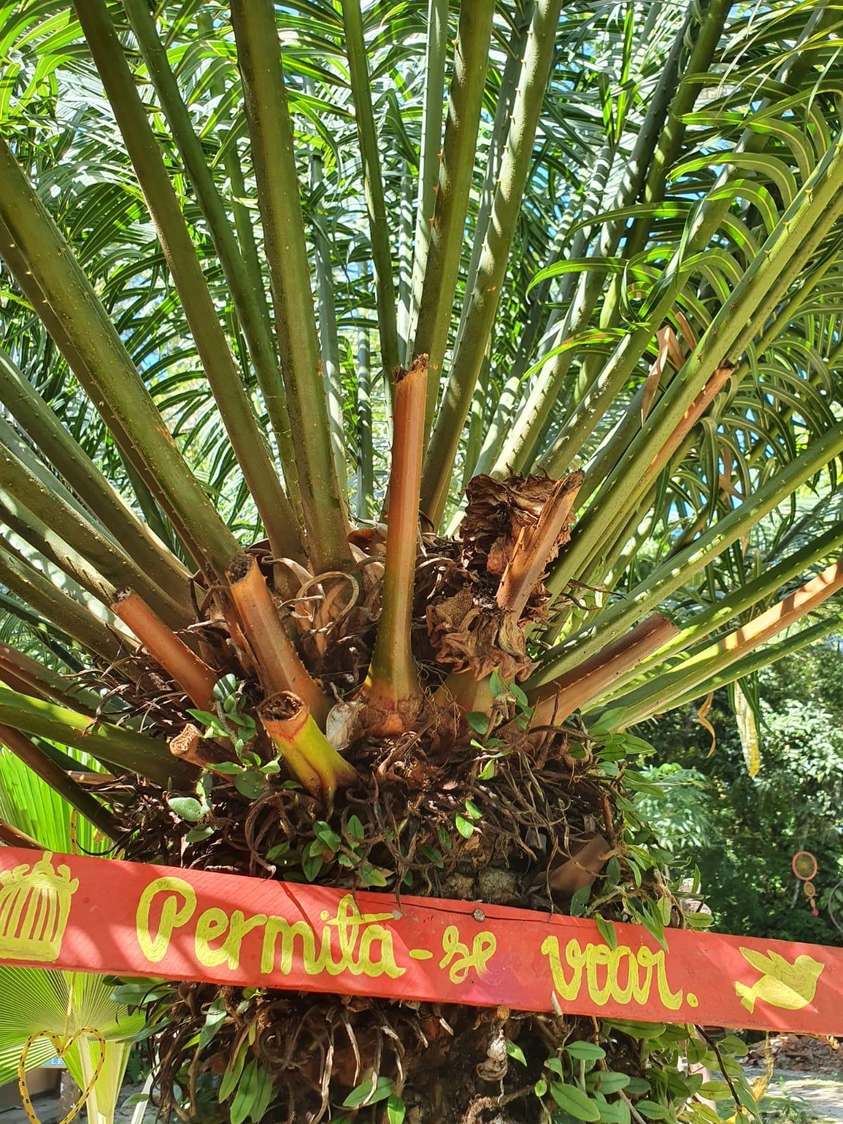 Terra Coral Porto Seguro